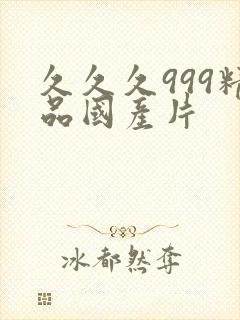 久久久999精品国产片