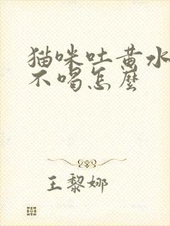 猫咪吐黄水不吃不喝怎么