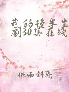 我的后半生电视剧30集在线播放