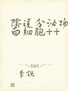 阴道分泌物检查白细胞++