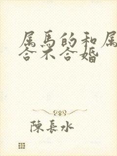 属马的和属鸡的合不合婚