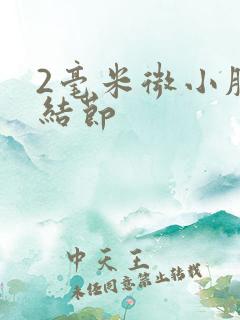 2毫米微小肺有结节