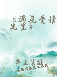 《遇见爱情的利先生》