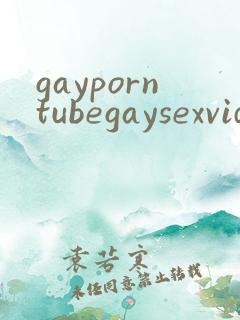gayporntubegaysexvideos