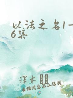 以法之名1—36集