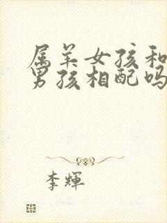 属羊女孩和属鼠男孩相配吗