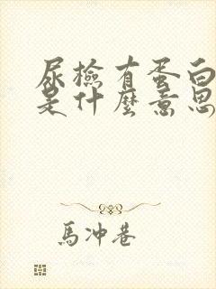 尿检有蛋白1+是什么意思