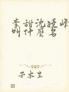 李甜沈晓峰小说叫什么名