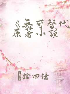 《无可替代》的原著小说