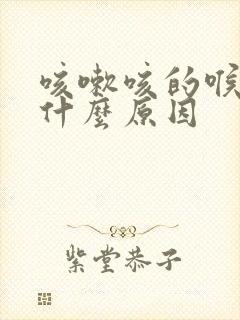 咳嗽咳的喉咙痛什么原因