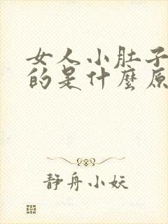 女人小肚子胀胀的是什么原因