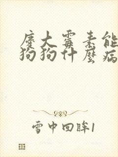 庆大霉素能治疗狗狗什么病