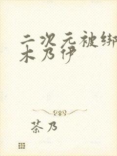 二次元被绑成为木乃伊