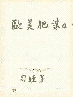 欧美肥婆aⅴ