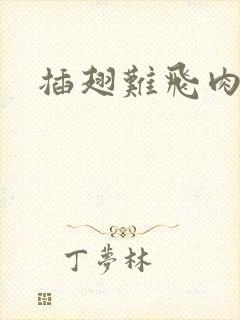 插翅难飞肉段