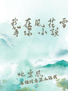 我在风花雪月里等你 小说