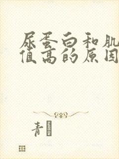 尿蛋白和肌酐比值高的原因