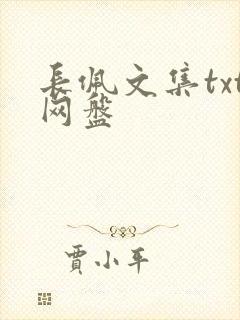 长佩文集txt网盘