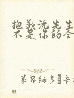 抱歉沈先生孩子不是你的全文