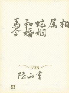 马和蛇属相合不合婚姻