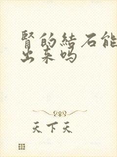 肾的结石能排得出来吗