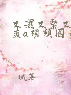 又湿又紧又大又爽a视频国产