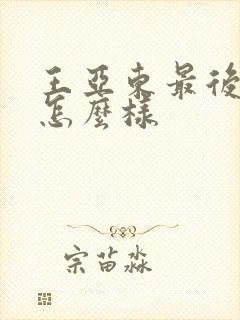 王亚东最后结局怎么样