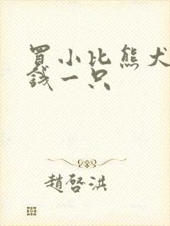 买小比熊犬多少钱一只