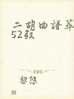 二胡曲谱葬花吟52弦