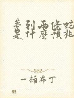 梦到两条蛇咬我是什么预兆