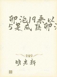 卵泡19乘以15是成熟卵泡吗