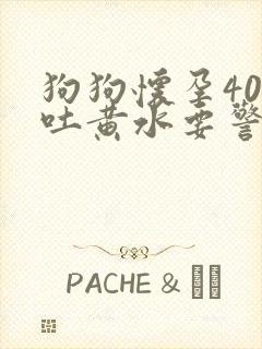 狗狗怀孕40天吐黄水要警惕