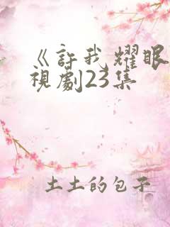 《许我耀眼》电视剧23集