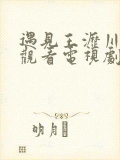 遇见王沥川免费观看电视剧38集