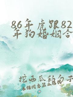 86年虎跟82年狗婚姻合适不合适