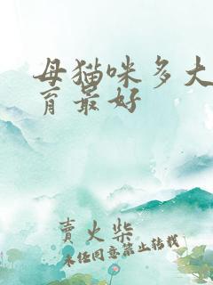 母猫咪多大做绝育最好