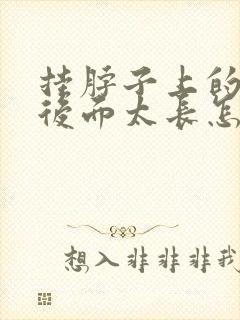 挂脖子上的绳子后面太长怎么办