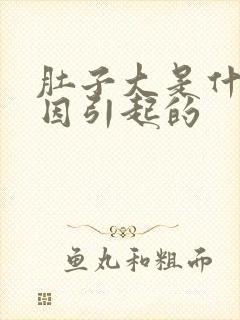 肚子大是什么原因引起的