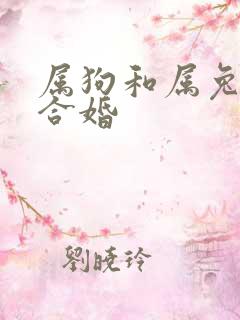 属狗和属兔合不合婚