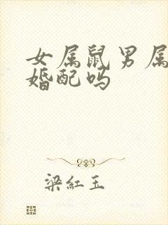 女属鼠男属羊能婚配吗