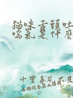 猫咪舌头吐出来喘气是什么原因