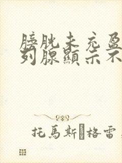 膀胱未充盈,前列腺显示不清