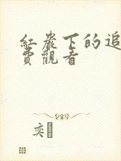 红岩下的追捕免费观看