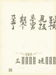 孕期梦见别人生了个男孩预示什么