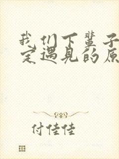 我们下辈子不一定遇见的原唱歌词