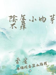 阴唇小肉芽不痛不痒