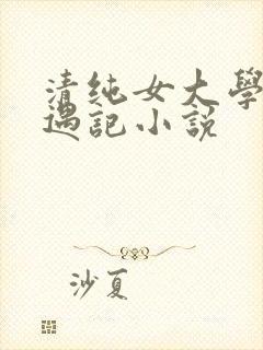 清纯女大学生艳遇记小说