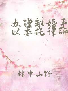 办理离婚手续可以委托律师吗