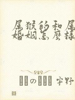 属猴的和属狗的婚姻怎么样