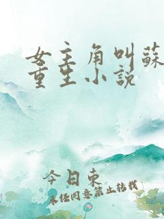 女主角叫苏鸢的重生小说